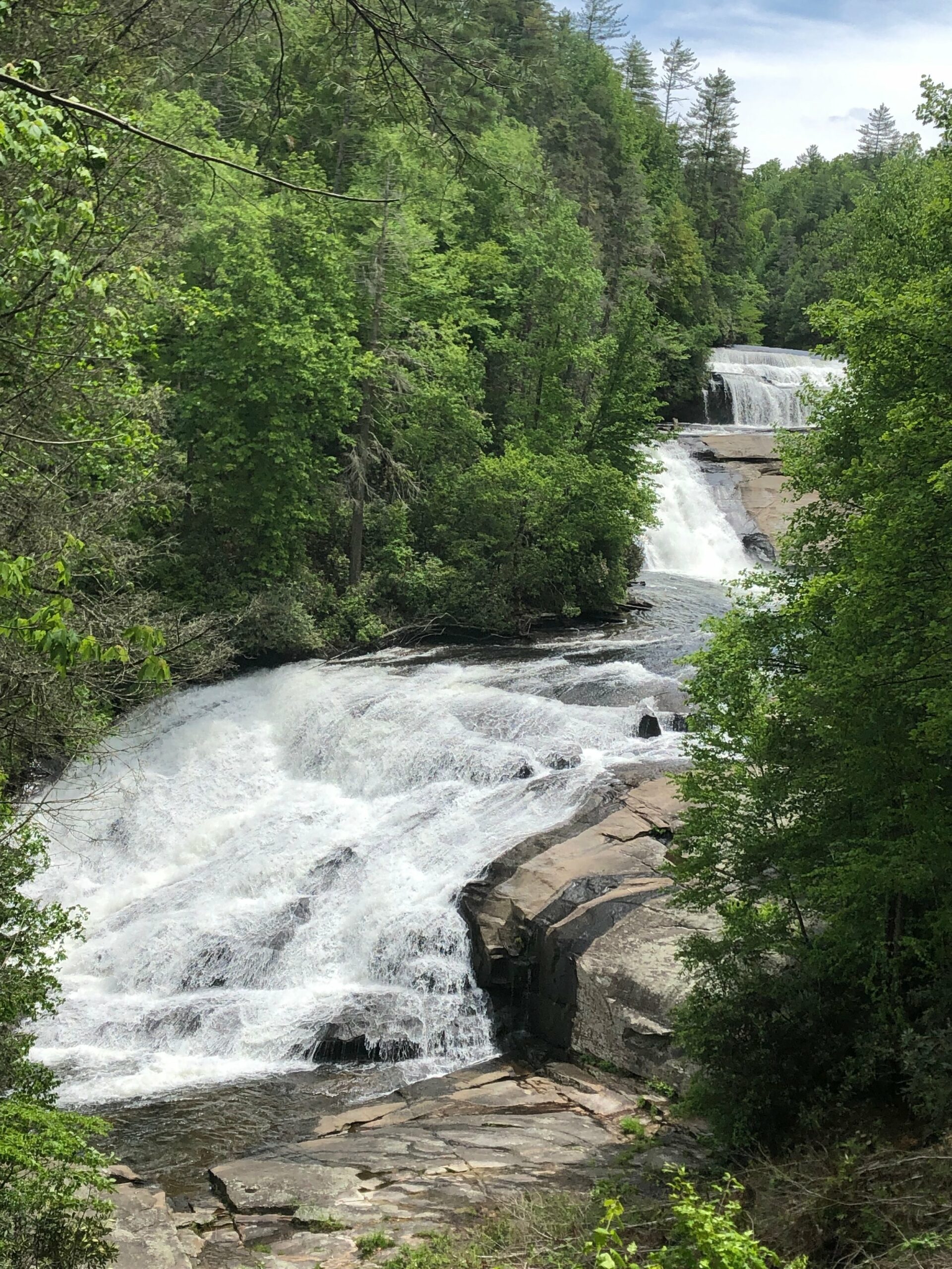 Gravatt Explorers