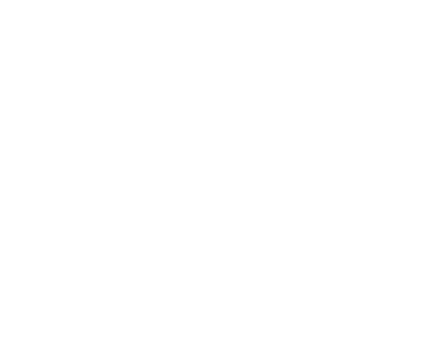 Gravatt Explorers Logo