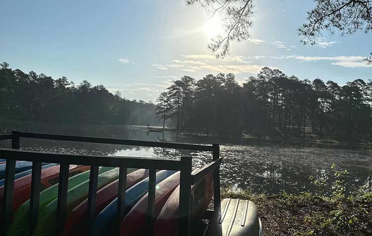 paddle boards near a pond