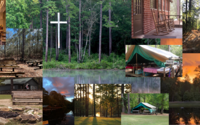 Sparkleberry Press – Changing Perspectives