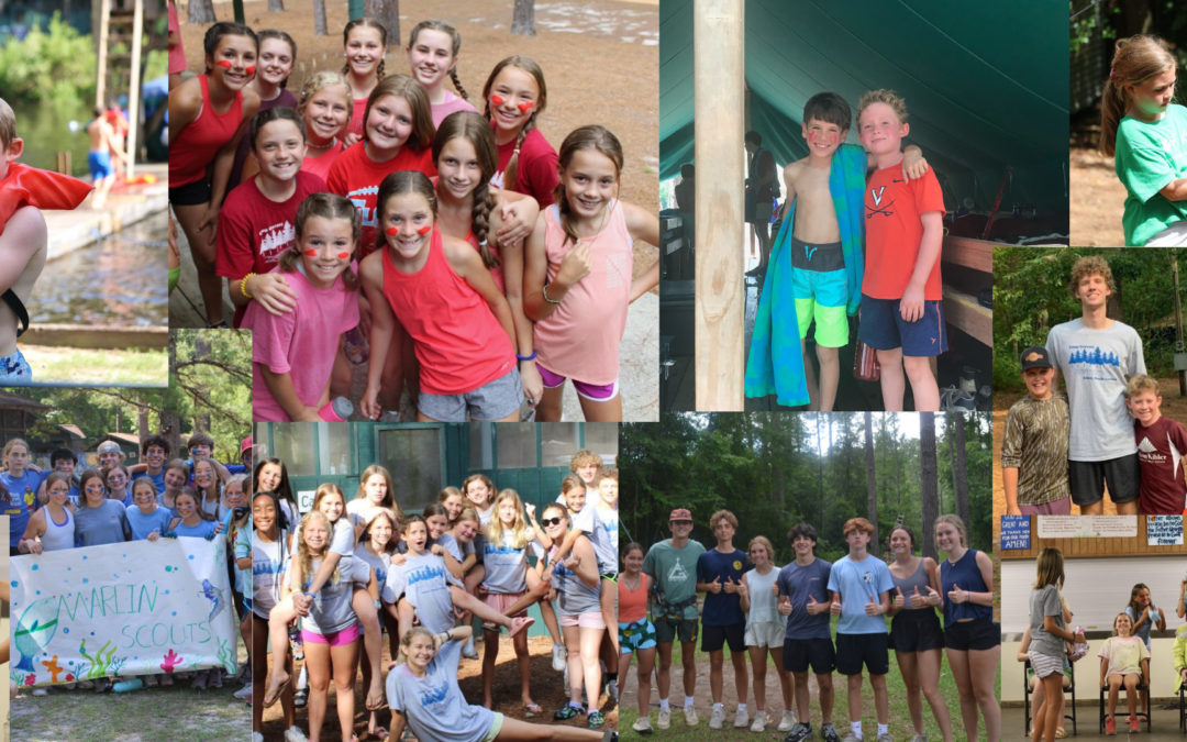 Sparkleberry Press – Sanctuary